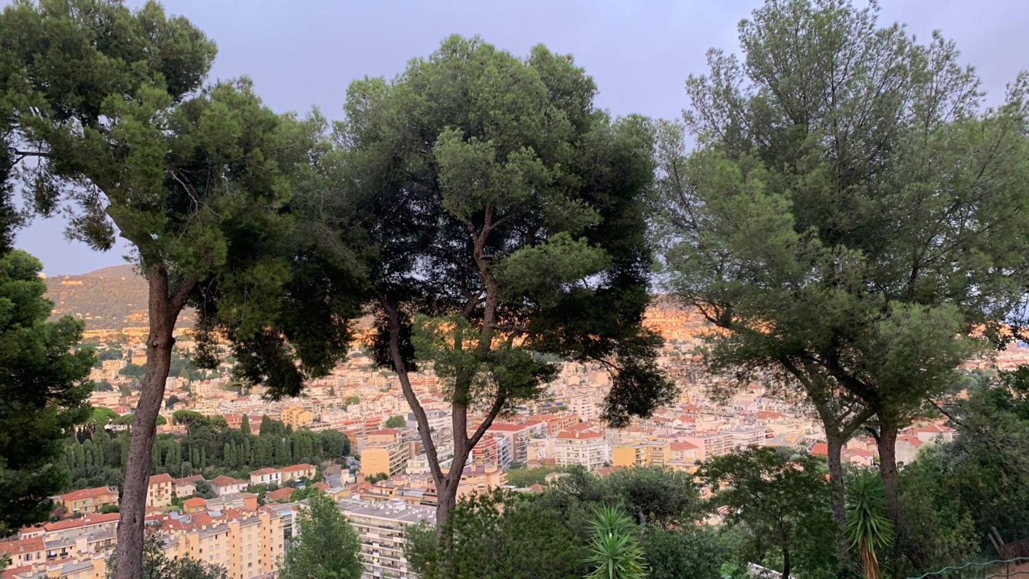 Chambre D Hote Avec Clim Terrasse Et Petit Dejeuner Hauteurs De Nice Exterior photo
